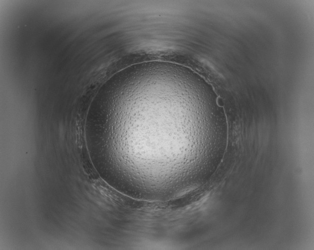 X0000075370917200609151658