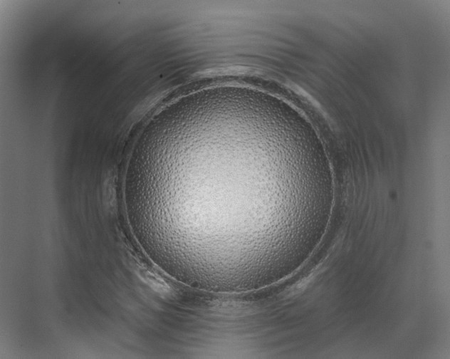 X0000075370921200609151659