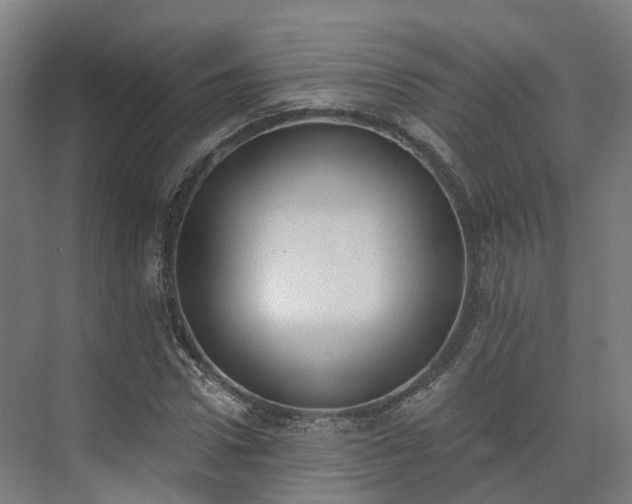 X0000075370922200609151659