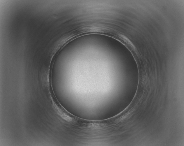 X0000075370938200609151659