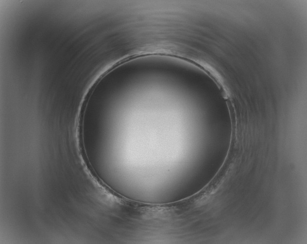 X0000075370949200609151659