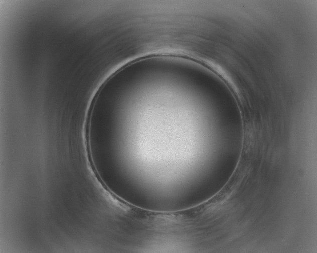 X0000075370959200609151659