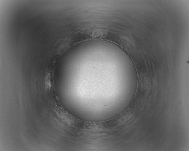 X0000075370962200609151658