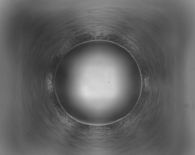 X0000075370963200609151658