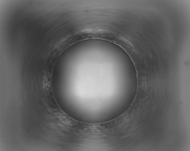 X0000075370966200609151658
