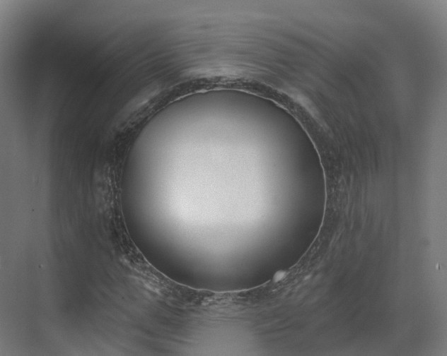 X0000075370967200609151658