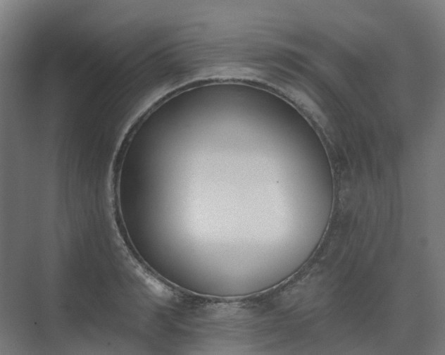 X0000075370990200609151658