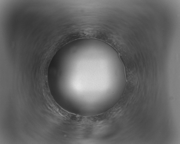 X0000075371009200609151657
