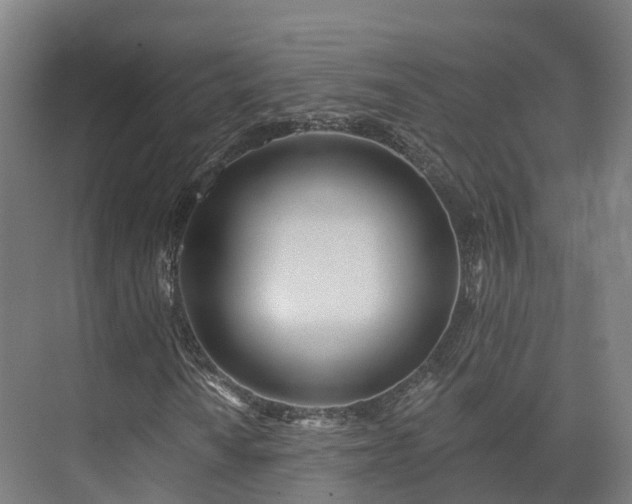 X0000075371010200609151657