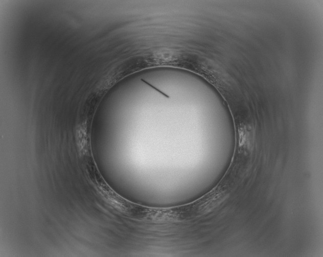 X0000075371011200609151657