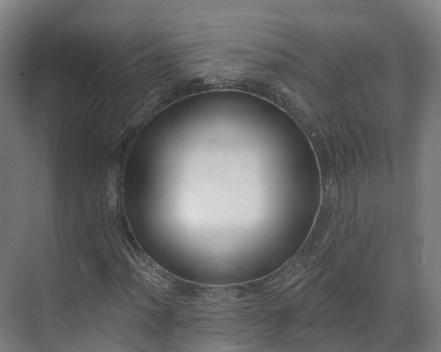 X0000075371012200609151657