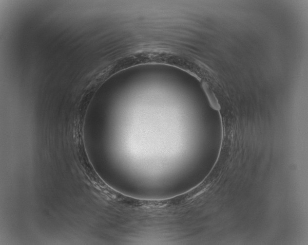 X0000075371014200609151657