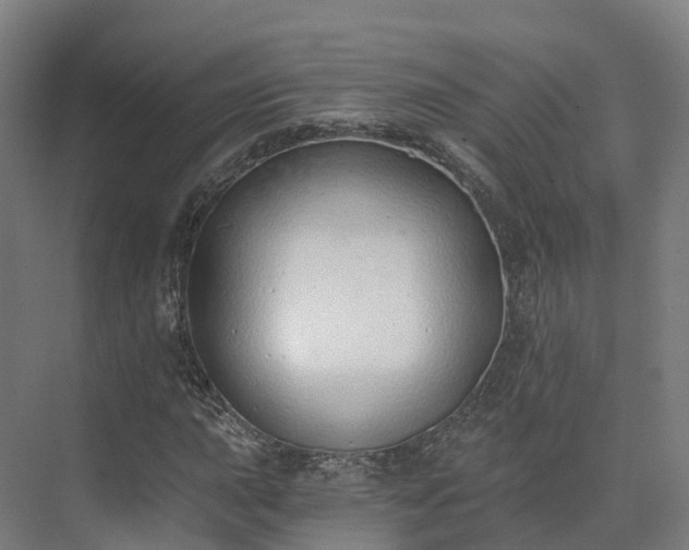 X0000075371015200609151657