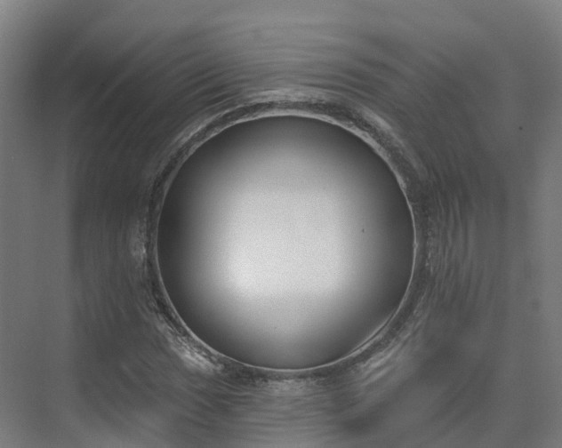 X0000075371017200609151657