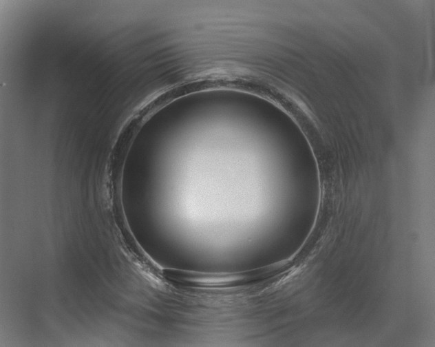 X0000075371018200609151657