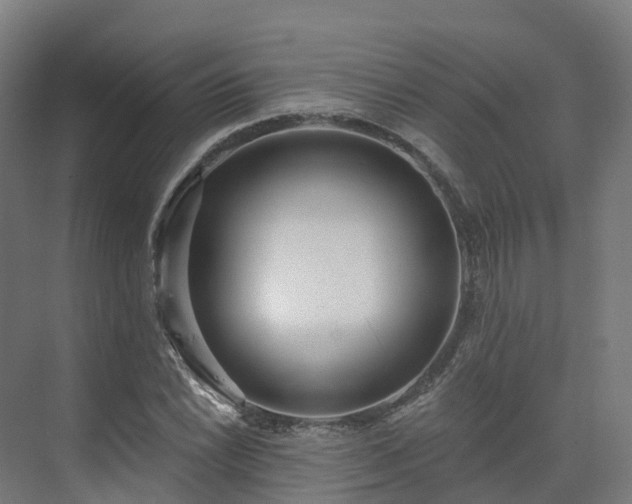 X0000075371022200609151657