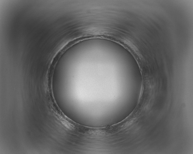 X0000075371023200609151657