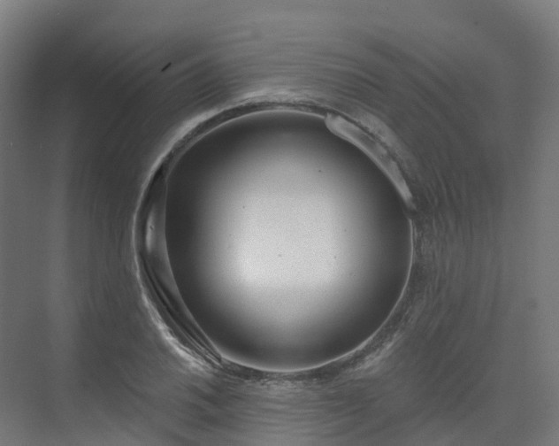 X0000075371030200609151657