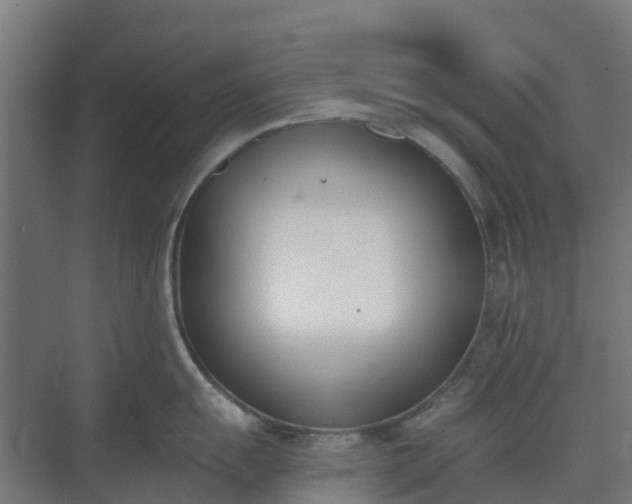 X0000075371055200609151658