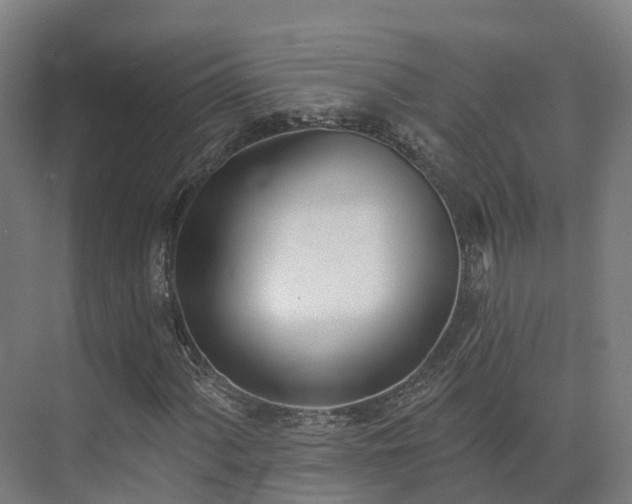 X0000075371060200609151657