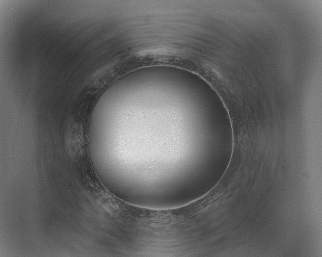 X0000075371062200609151657