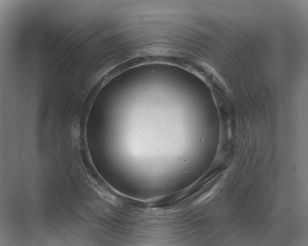 X0000075371065200609151657