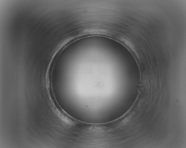 X0000075371082200609151656