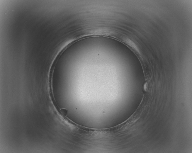 X0000075371087200609151656