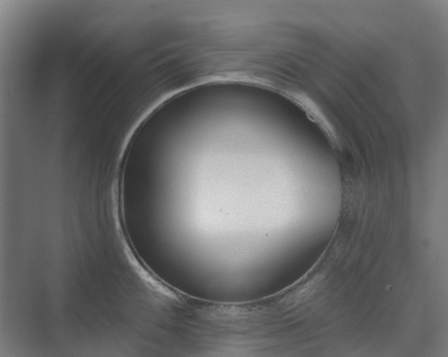 X0000075371100200609151656