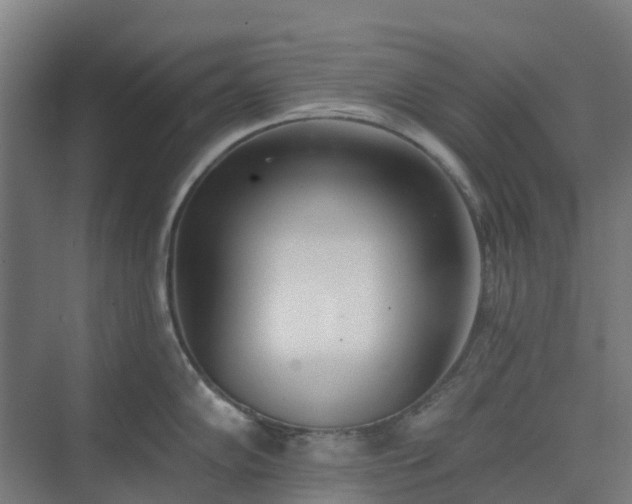 X0000075371102200609151656
