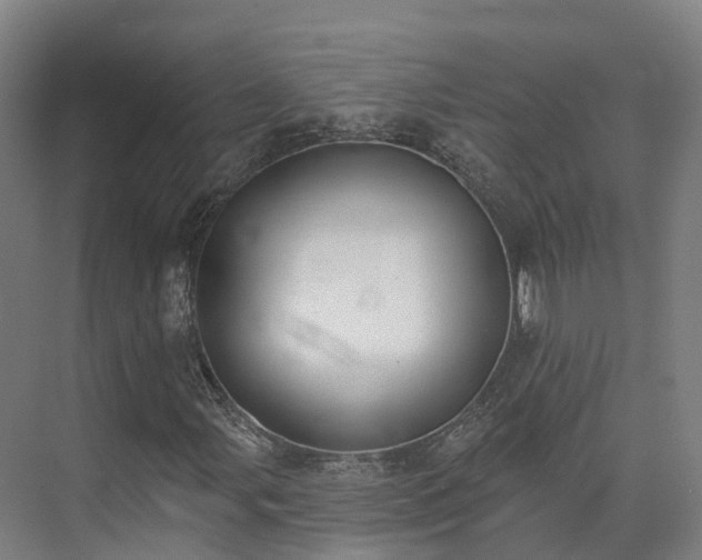X0000075371107200609151655