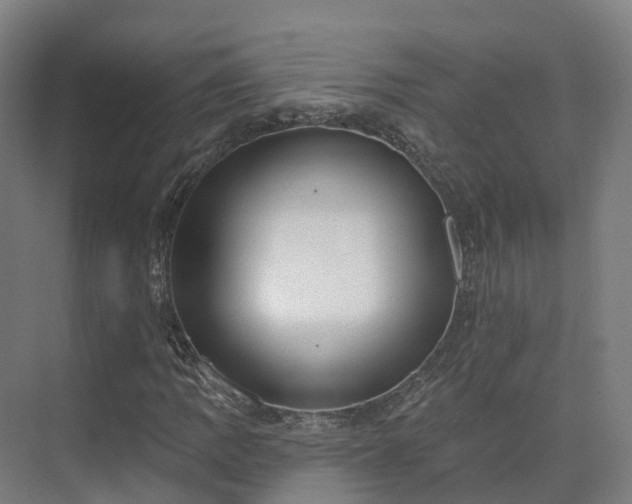 X0000075371109200609151655