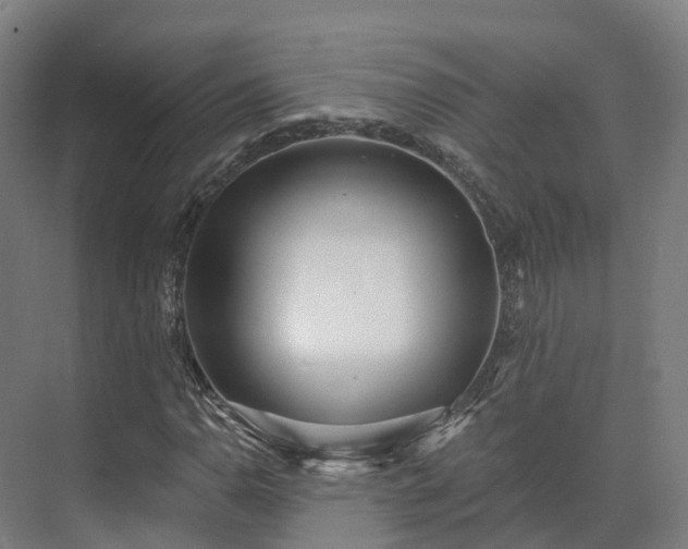 X0000075371110200609151655