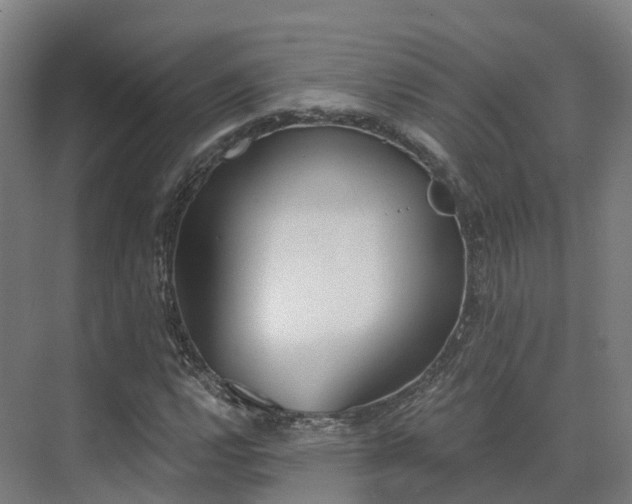 X0000075371112200609151655