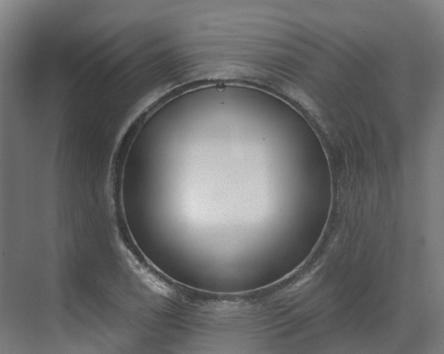 X0000075371122200609151655