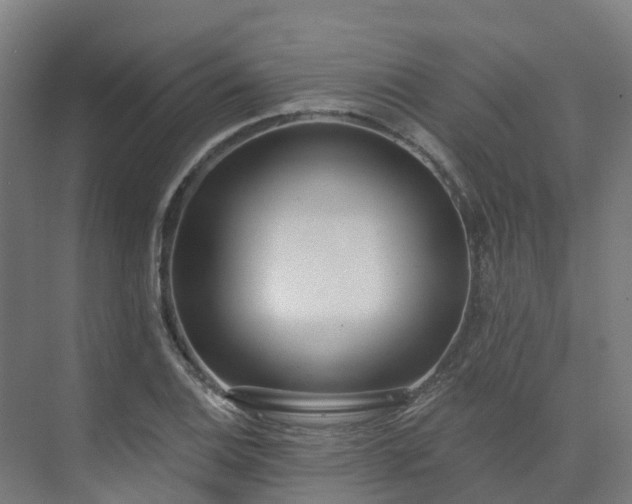 X0000075371124200609151656
