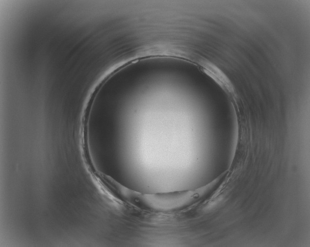 X0000075371144200609151656