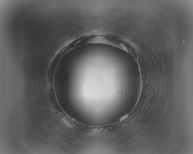 X0000075371160200609151655