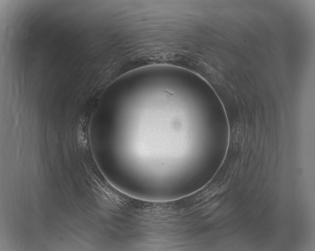 X0000075371202200609151654