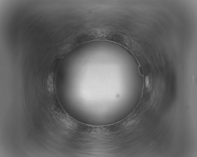 X0000075371203200609151654