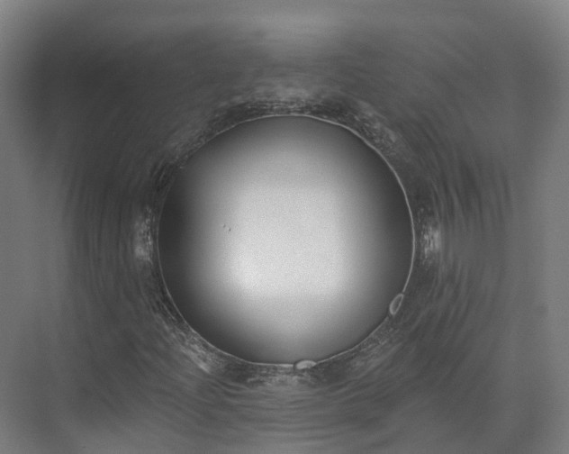 X0000075371204200609151654