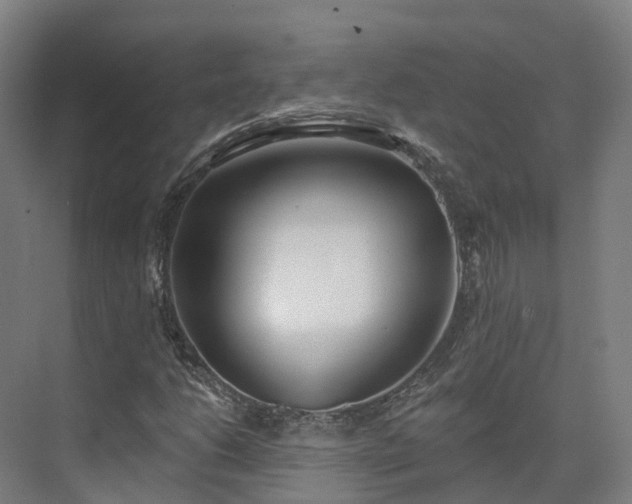 X0000075371206200609151654