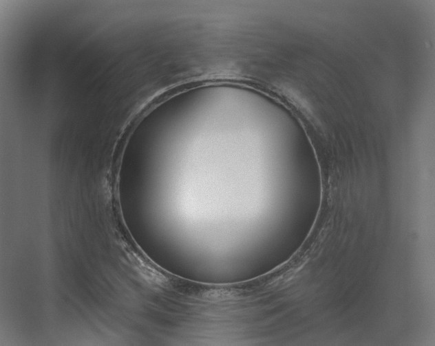 X0000075371212200609151654