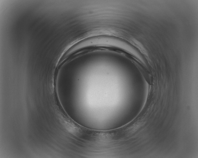 X0000075371226200609151654
