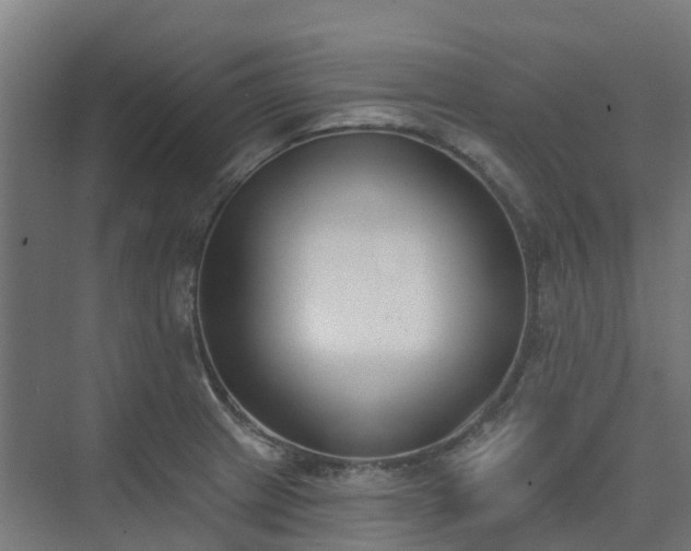 X0000075371233200609151654