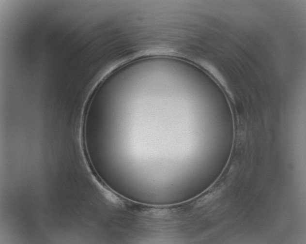 X0000075371245200609151654