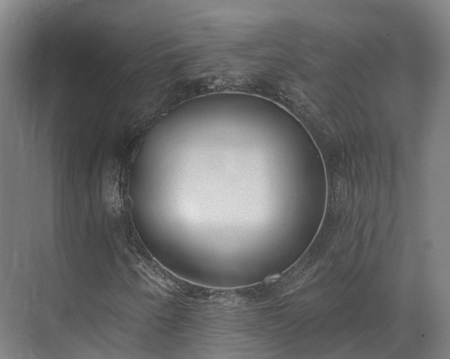 X0000075371250200609151654