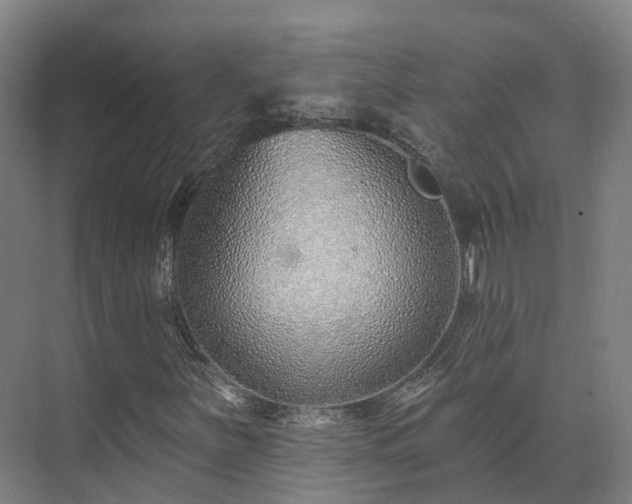 X0000075371251200609151654