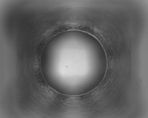 X0000075371253200609151654