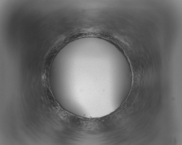 X0000075371254200609151653